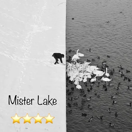 Mister * Baveno