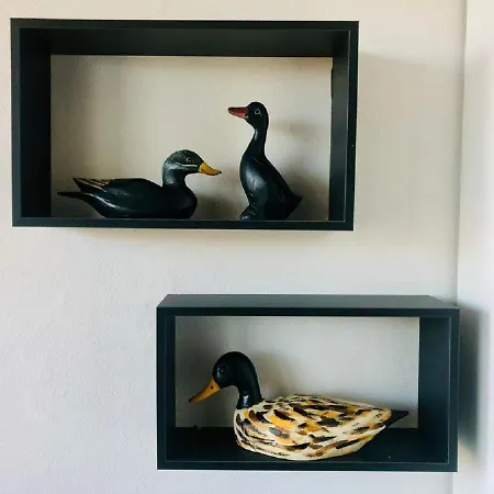 Mister Apartment *
